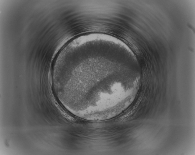 X0000097750796200804041101