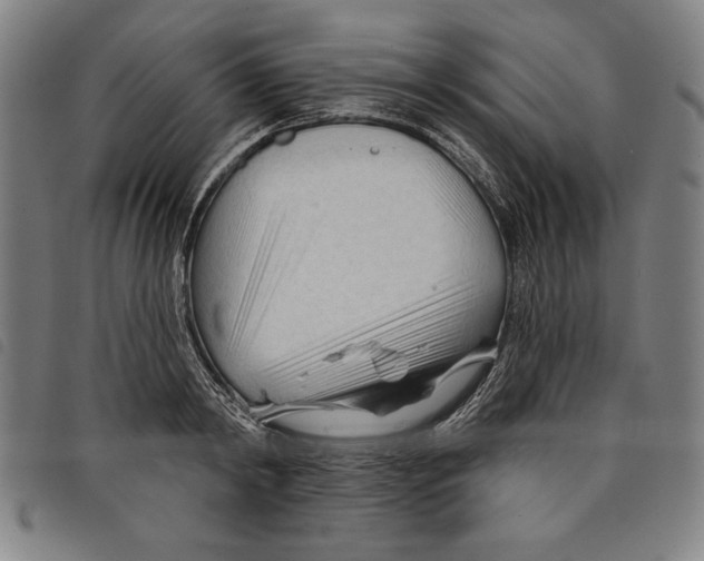 X0000097750798200804041101