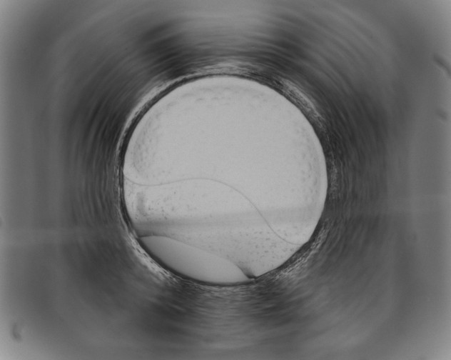 X0000097750800200804041101