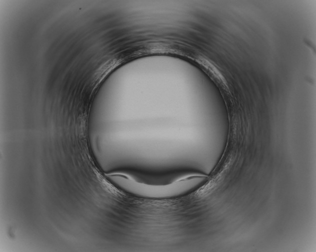 X0000097750801200804041101