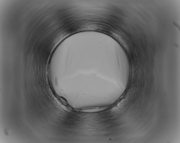 X0000097750802200804041101