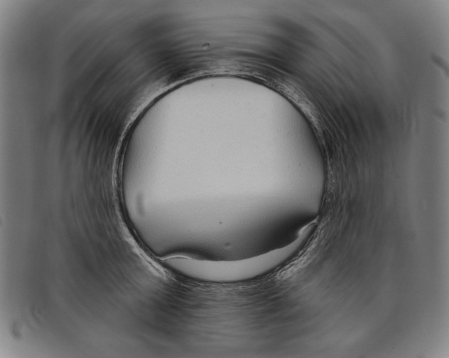 X0000097750803200804041101