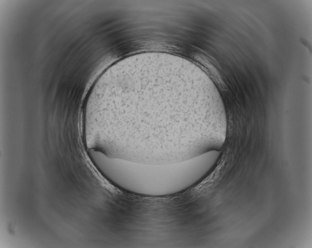 X0000097750804200804041101