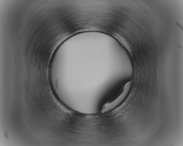 X0000097750805200804041101