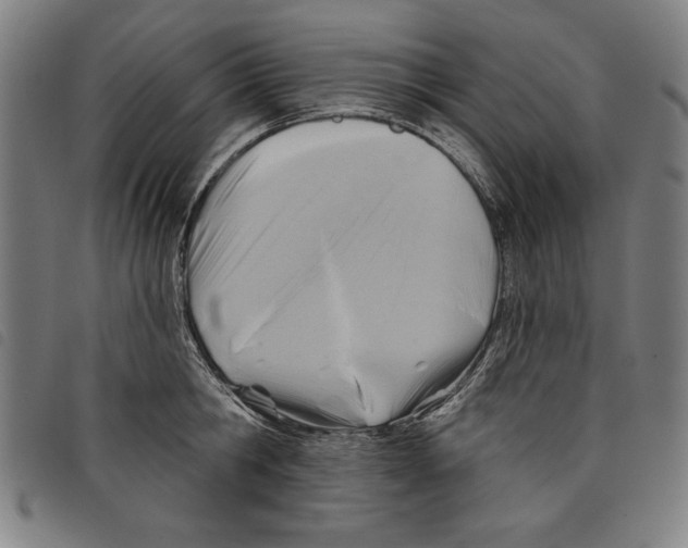 X0000097750806200804041101