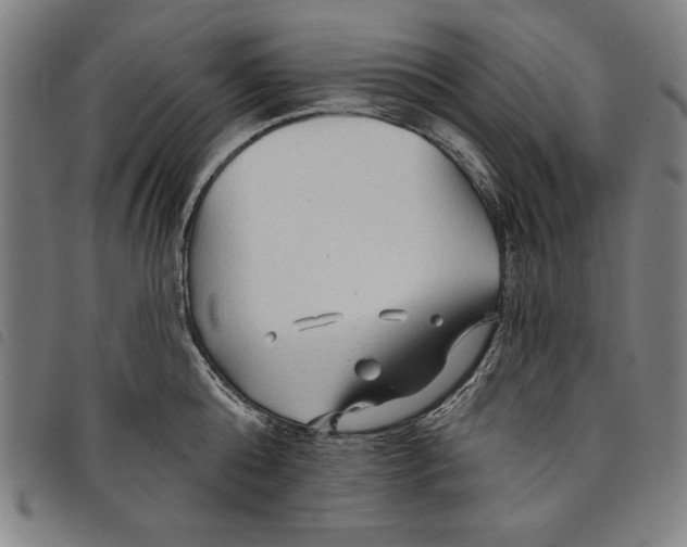 X0000097750808200804041101