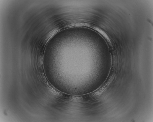 X0000097750809200804041101