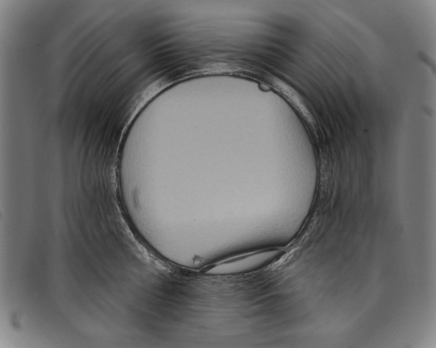 X0000097750810200804041101