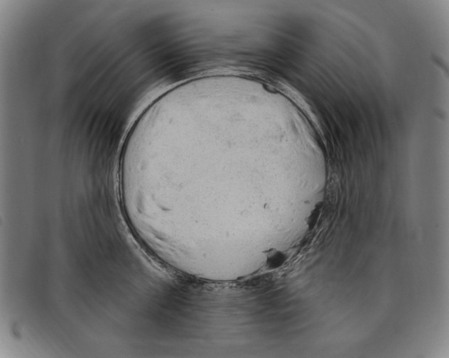 X0000097750811200804041101