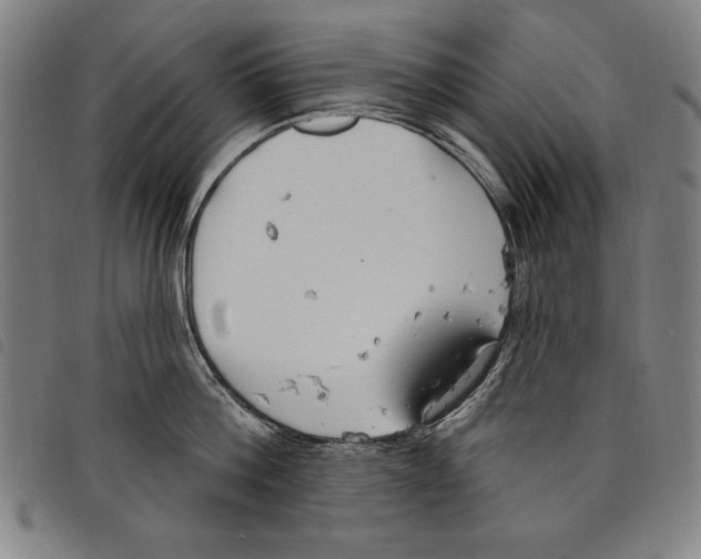 X0000097750812200804041101