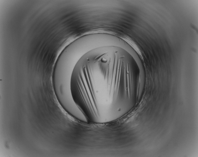 X0000097750813200804041101