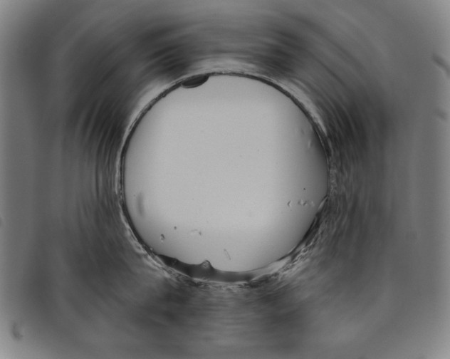 X0000097750815200804041101