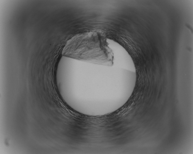 X0000097750817200804041101