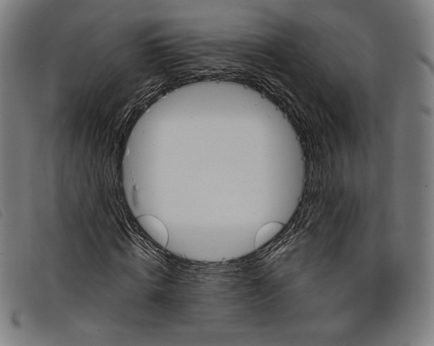 X0000097750820200804041101