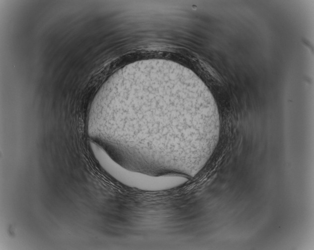 X0000097750821200804041101