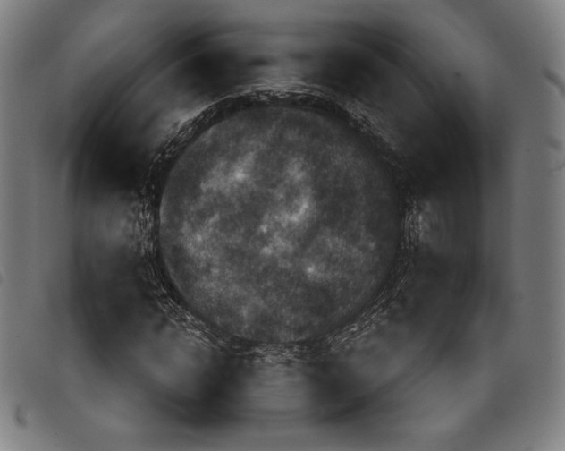 X0000097750822200804041101