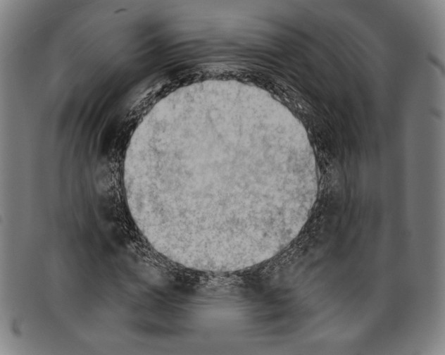 X0000097750824200804041101