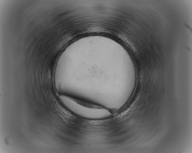 X0000097750825200804041101