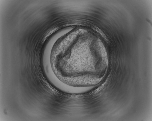 X0000097750826200804041101