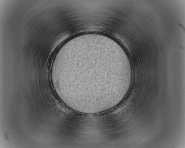 X0000097750827200804041101