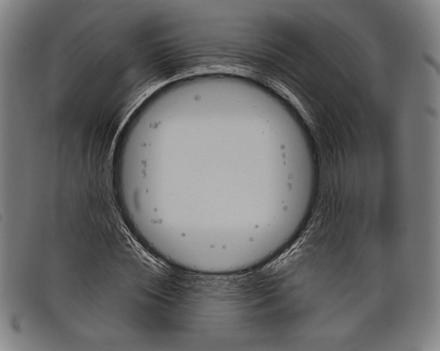 X0000097750828200804041101