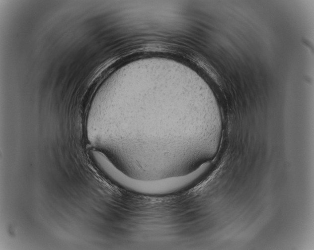 X0000097750829200804041101