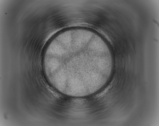 X0000097750830200804041101