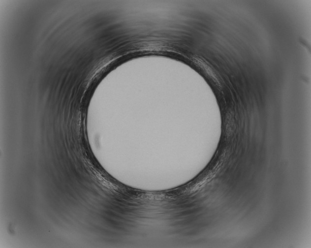 X0000097750831200804041101