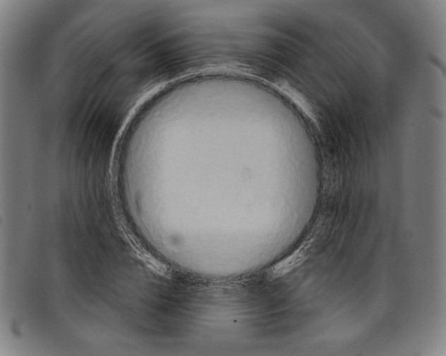 X0000097750832200804041101