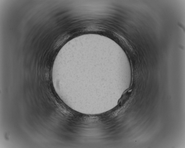 X0000097750833200804041101