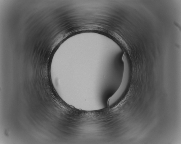 X0000097750834200804041101