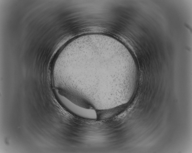 X0000097750835200804041101