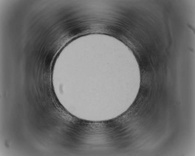 X0000097750836200804041101