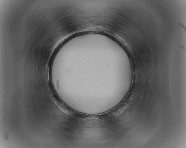 X0000097750838200804041101