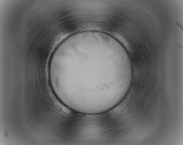 X0000097750840200804041101