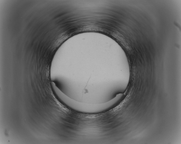 X0000097750841200804041101