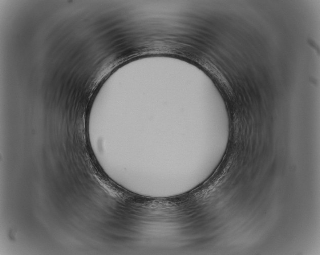 X0000097750842200804041101