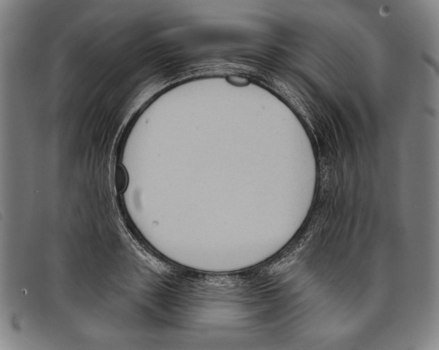 X0000097750843200804041101