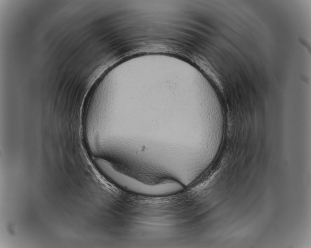 X0000097750845200804041101