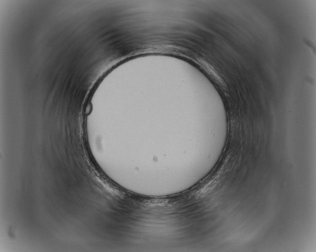 X0000097750846200804041101