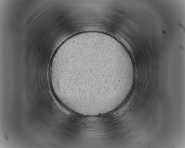 X0000097750847200804041101