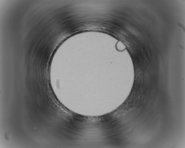 X0000097750848200804041101