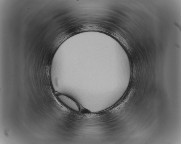 X0000097750849200804041101