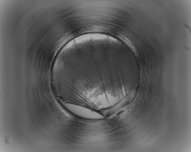 X0000097750850200804041101