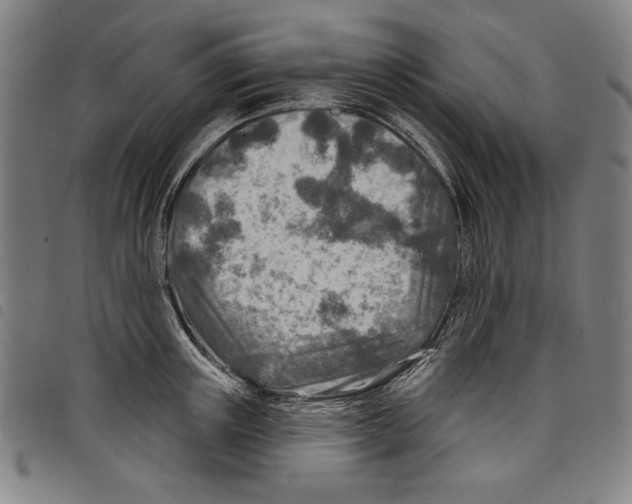 X0000097750851200804041101