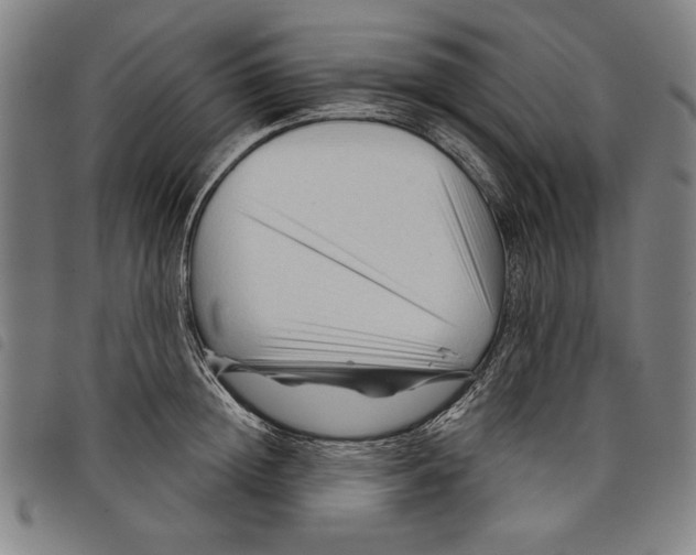 X0000097750852200804041101