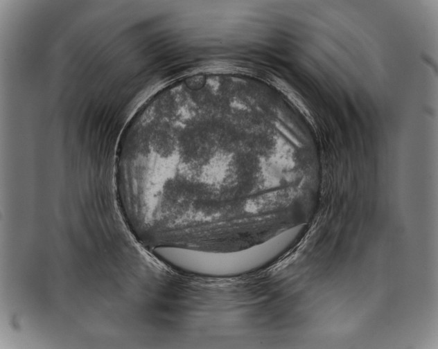 X0000097750853200804041101