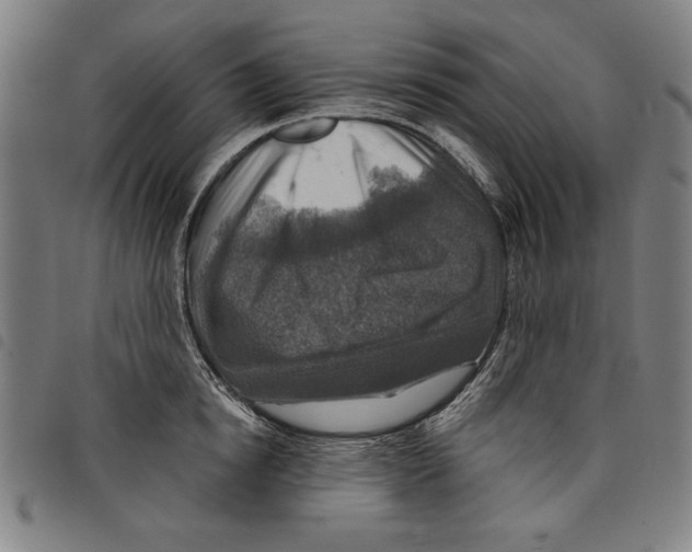 X0000097750854200804041101