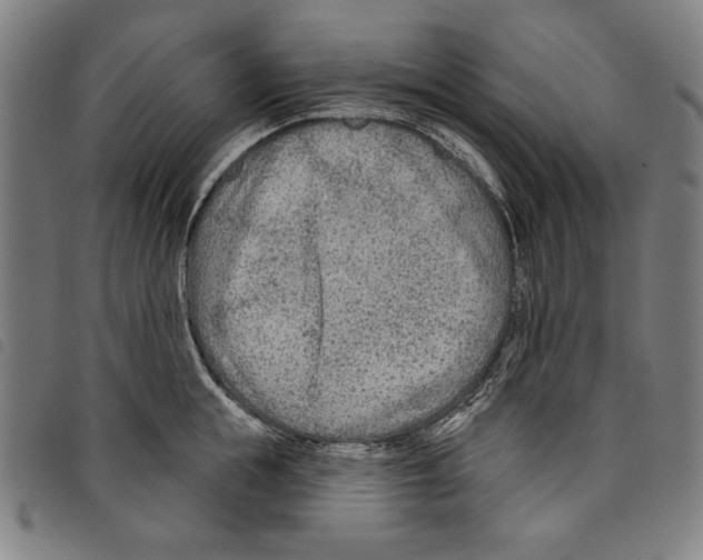 X0000097750855200804041101