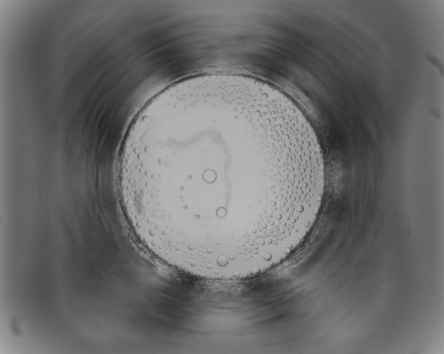 X0000097750856200804041101